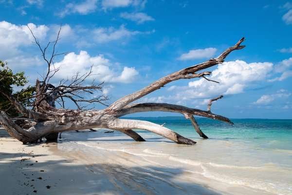 Andaman Honeymoon Tour Package | Andaman