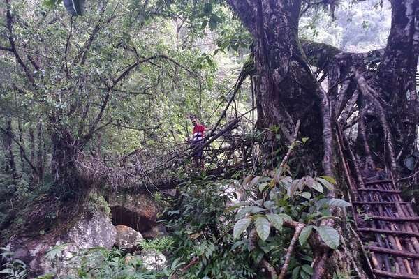 Meghalaya Complete Tour Package | North East