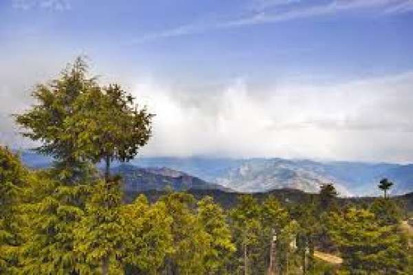 shimla kufri 4 days